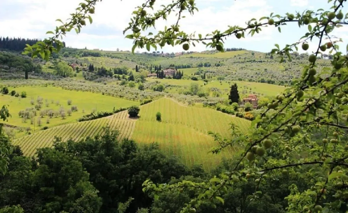 Typical Tuscan Farmhouse In Charming Position Between Panzano -Greve In Chianti Lamole