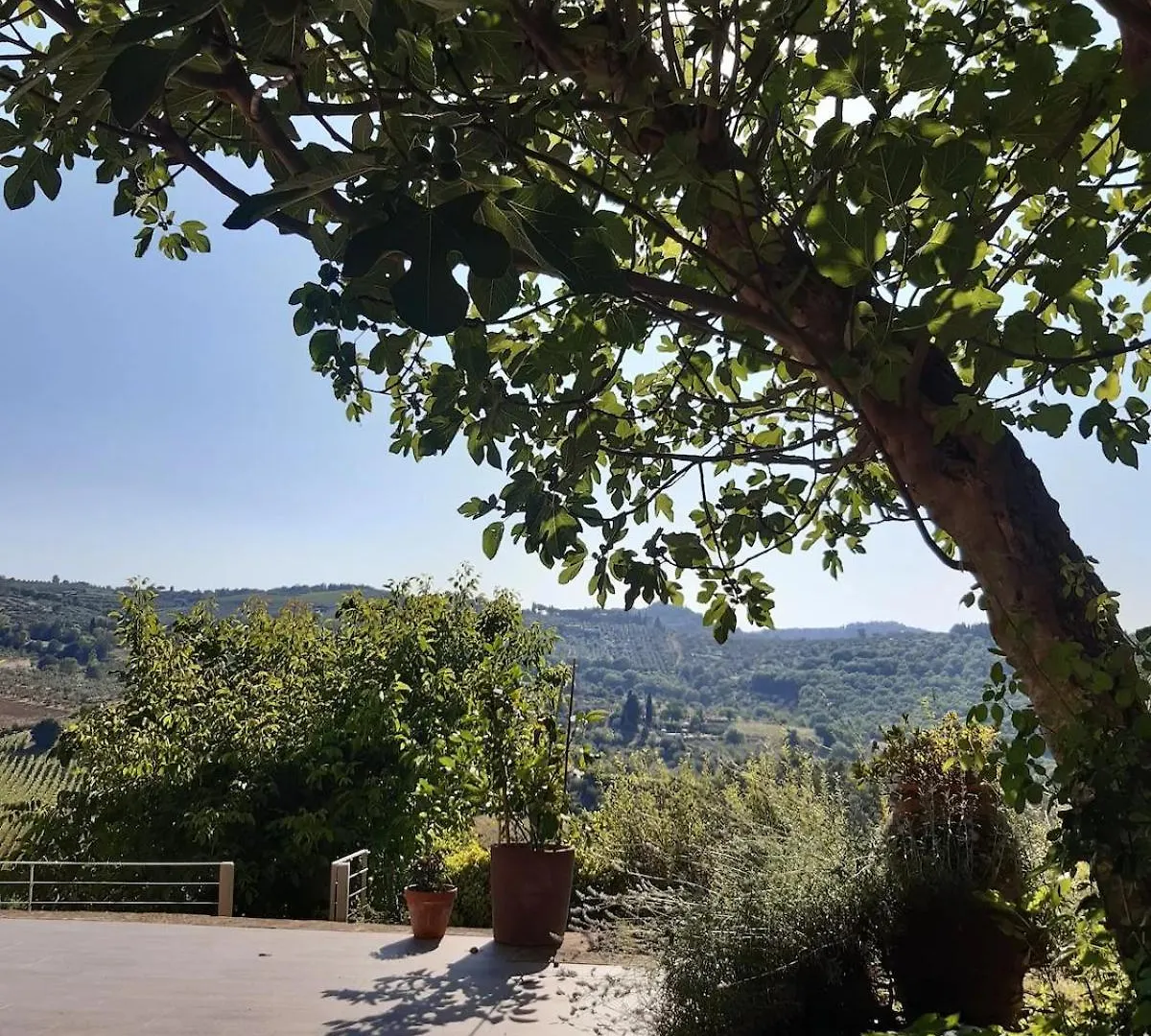 Typical Tuscan Farmhouse In Charming Position Between Panzano -Greve In Chianti Lamole 이탈리아